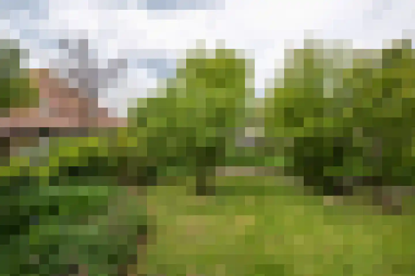 Dorpsstraat 115 Assendelft thumbnail 47