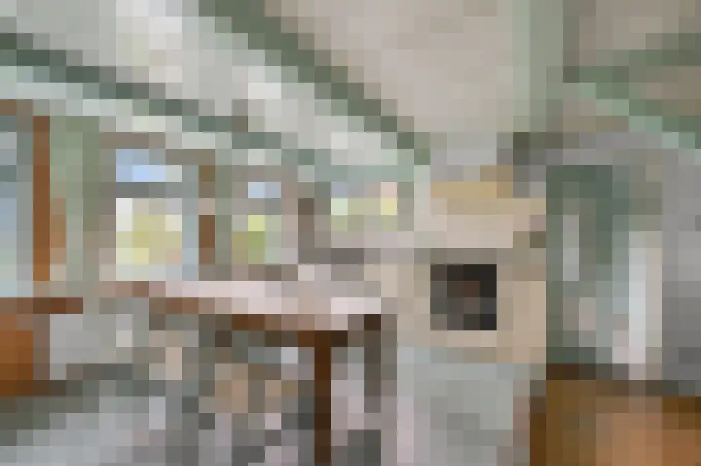 Dorpsstraat 115 Assendelft thumbnail 5