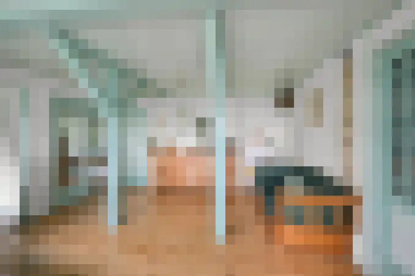 Dorpsstraat 115 Assendelft thumbnail 6