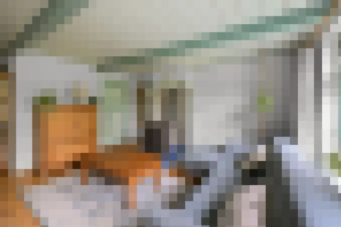 Dorpsstraat 115 Assendelft thumbnail 8
