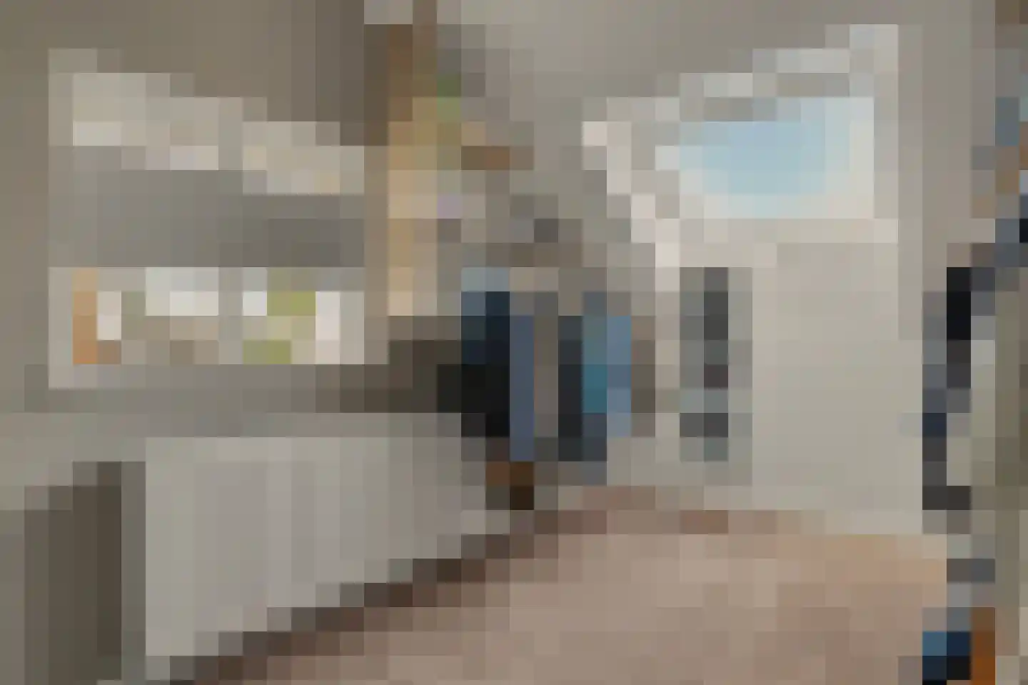 Dorpsstraat 116 Heinkenszand thumbnail 17