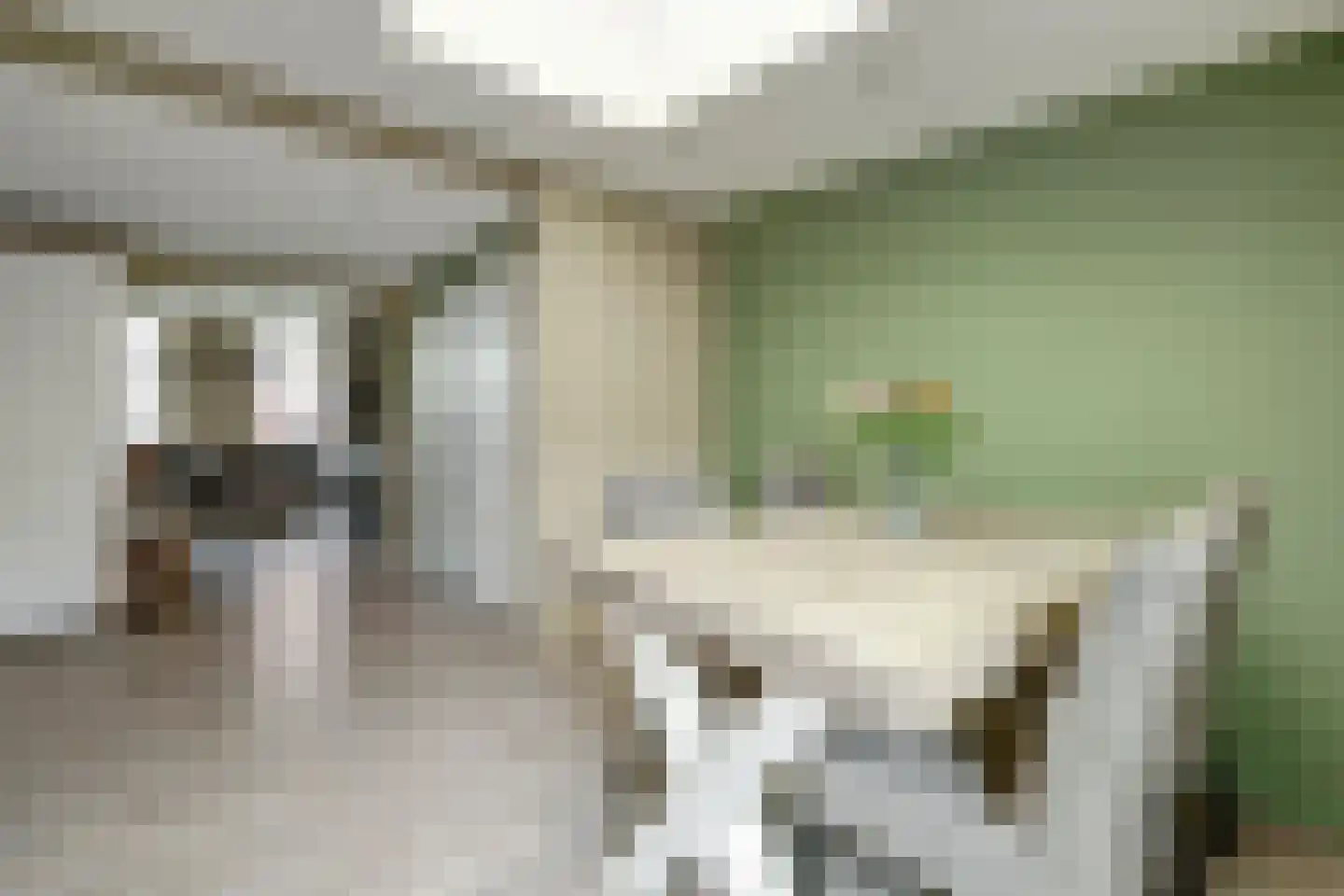 Dorpsstraat 116 Krabbendijke thumbnail 10
