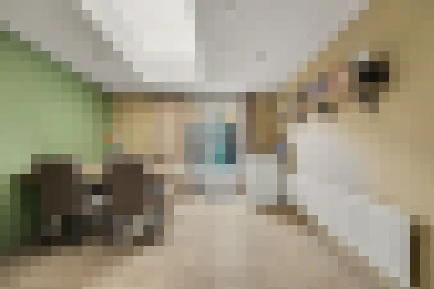 Dorpsstraat 116 Krabbendijke thumbnail 11