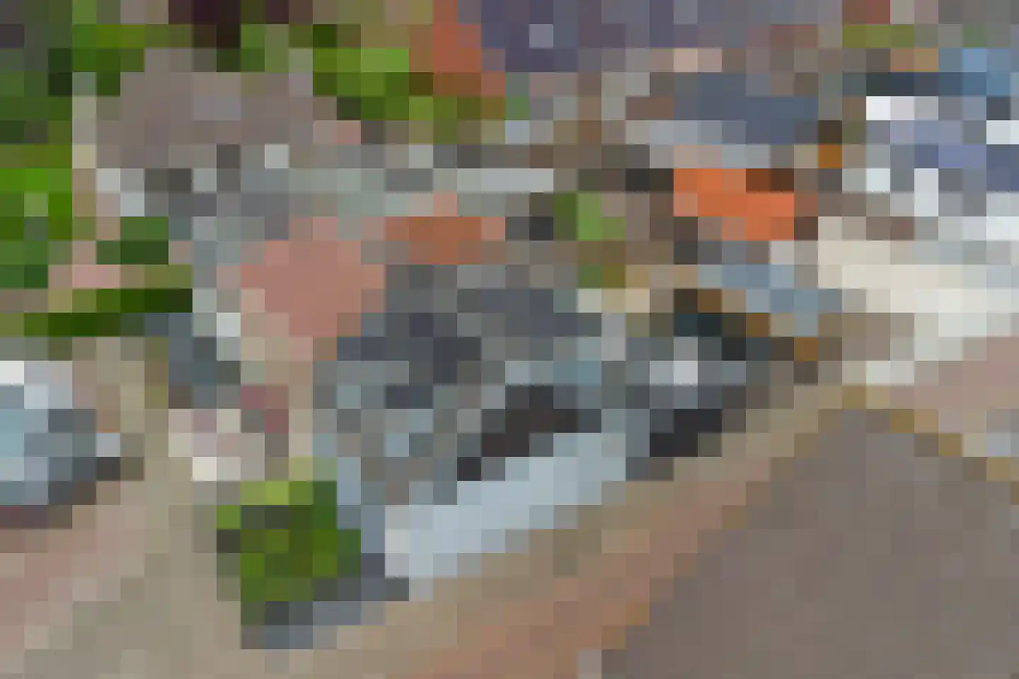Dorpsstraat 116 Krabbendijke thumbnail 36