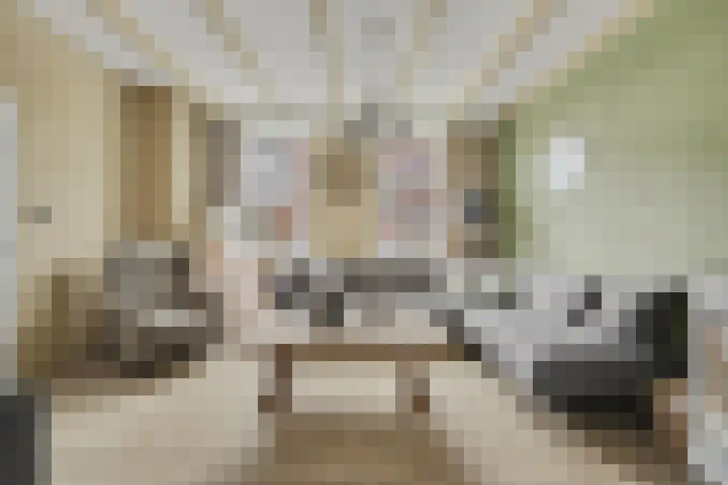 Dorpsstraat 116 Krabbendijke thumbnail 7