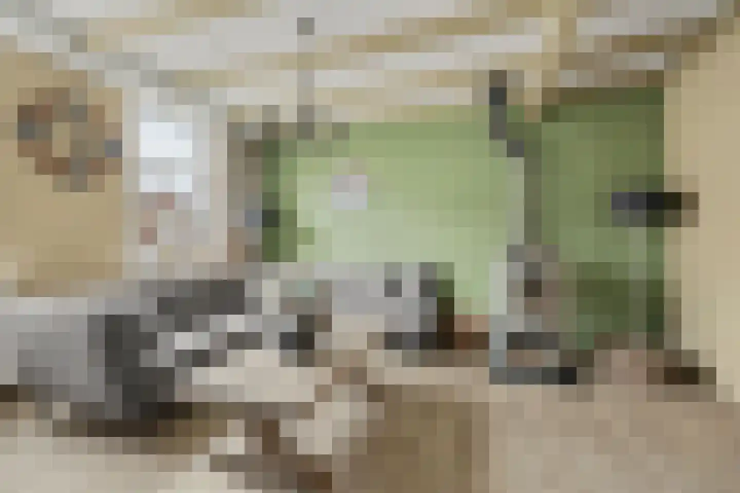 Dorpsstraat 116 Krabbendijke thumbnail 9
