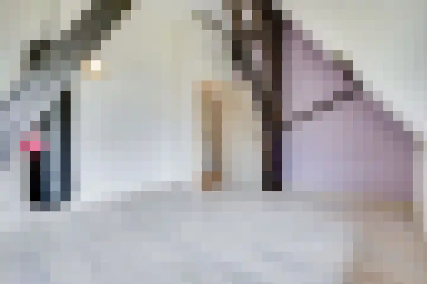 Dorpsstraat 117 Broek op Langedijk thumbnail 33