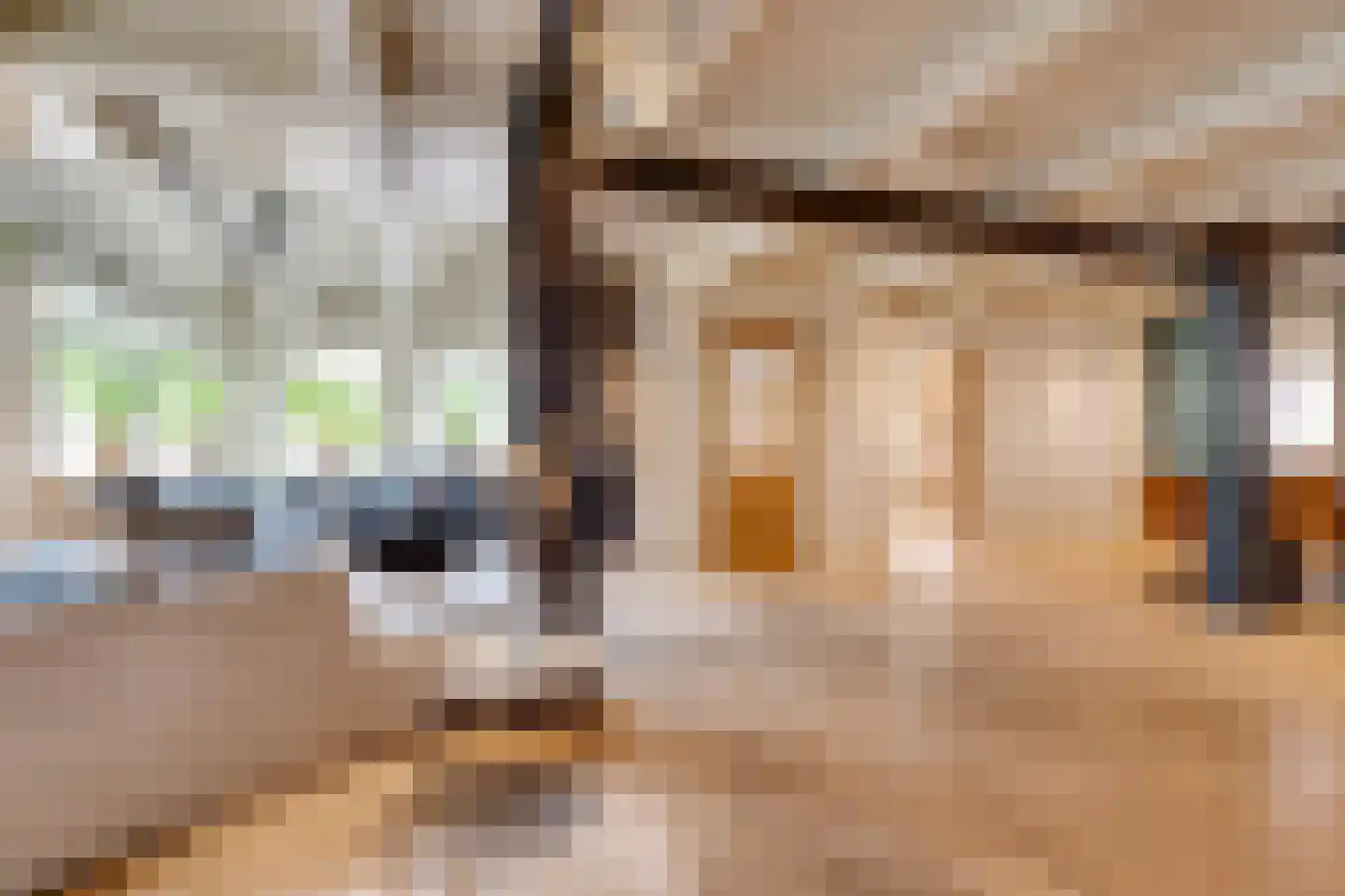 Dorpsstraat 117 Broek op Langedijk thumbnail 4