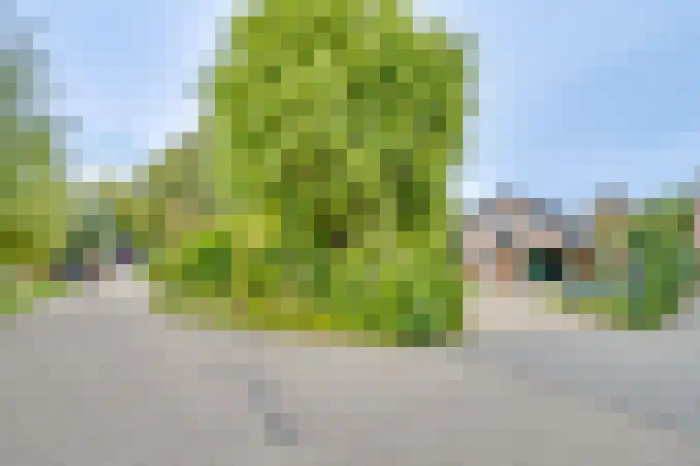 Dorpsstraat 117 Broek op Langedijk thumbnail 84