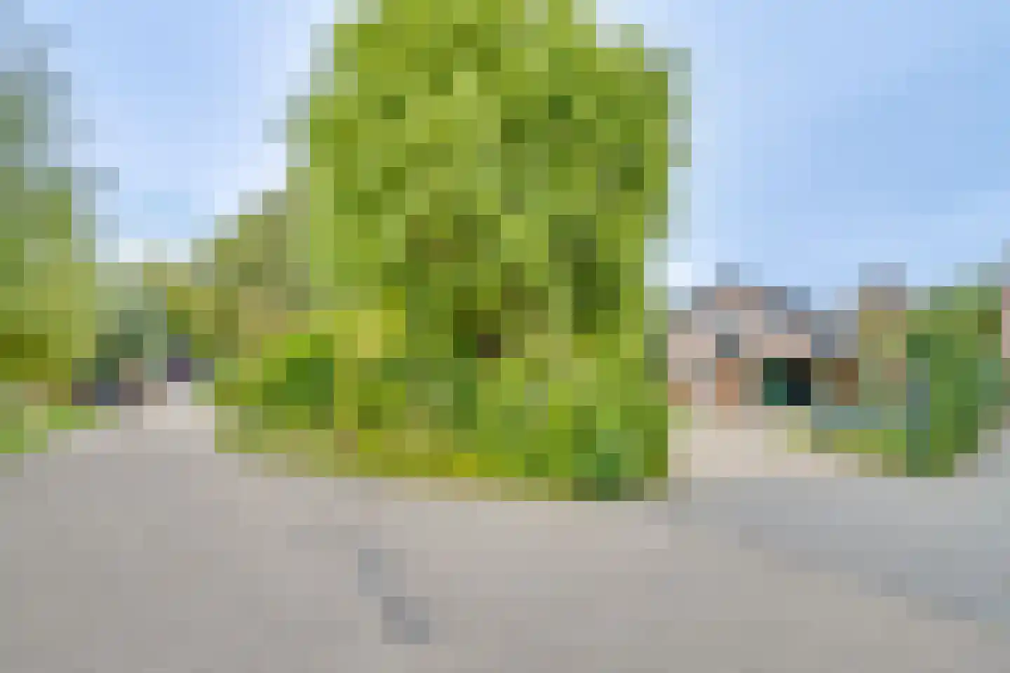 Dorpsstraat 117 Broek op Langedijk thumbnail 84