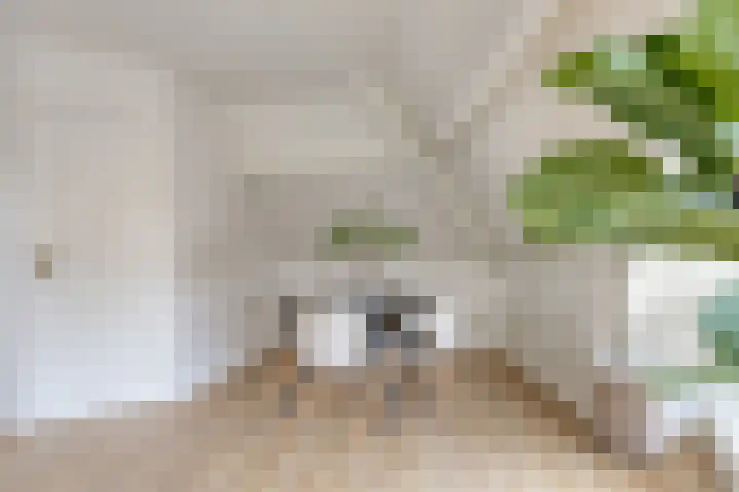 Dorpsstraat 118 a Obdam thumbnail 11