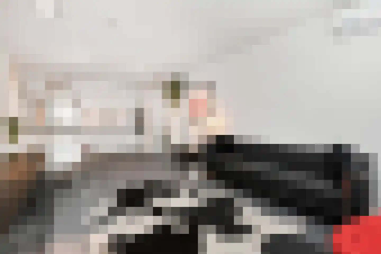 Dorpsstraat 118 D Zoetermeer thumbnail 17