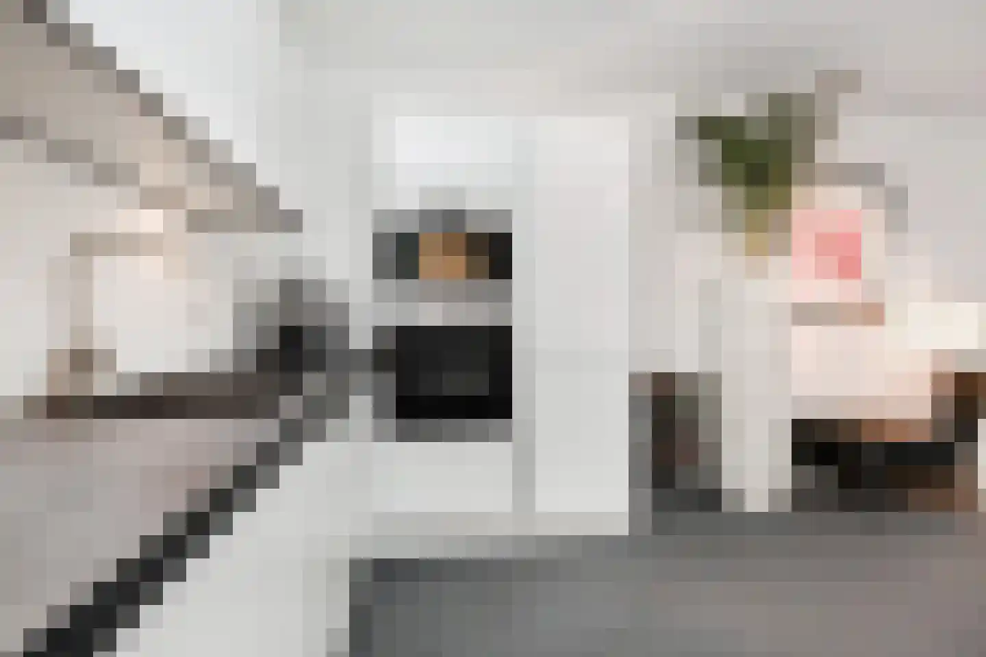 Dorpsstraat 118 D Zoetermeer thumbnail 20