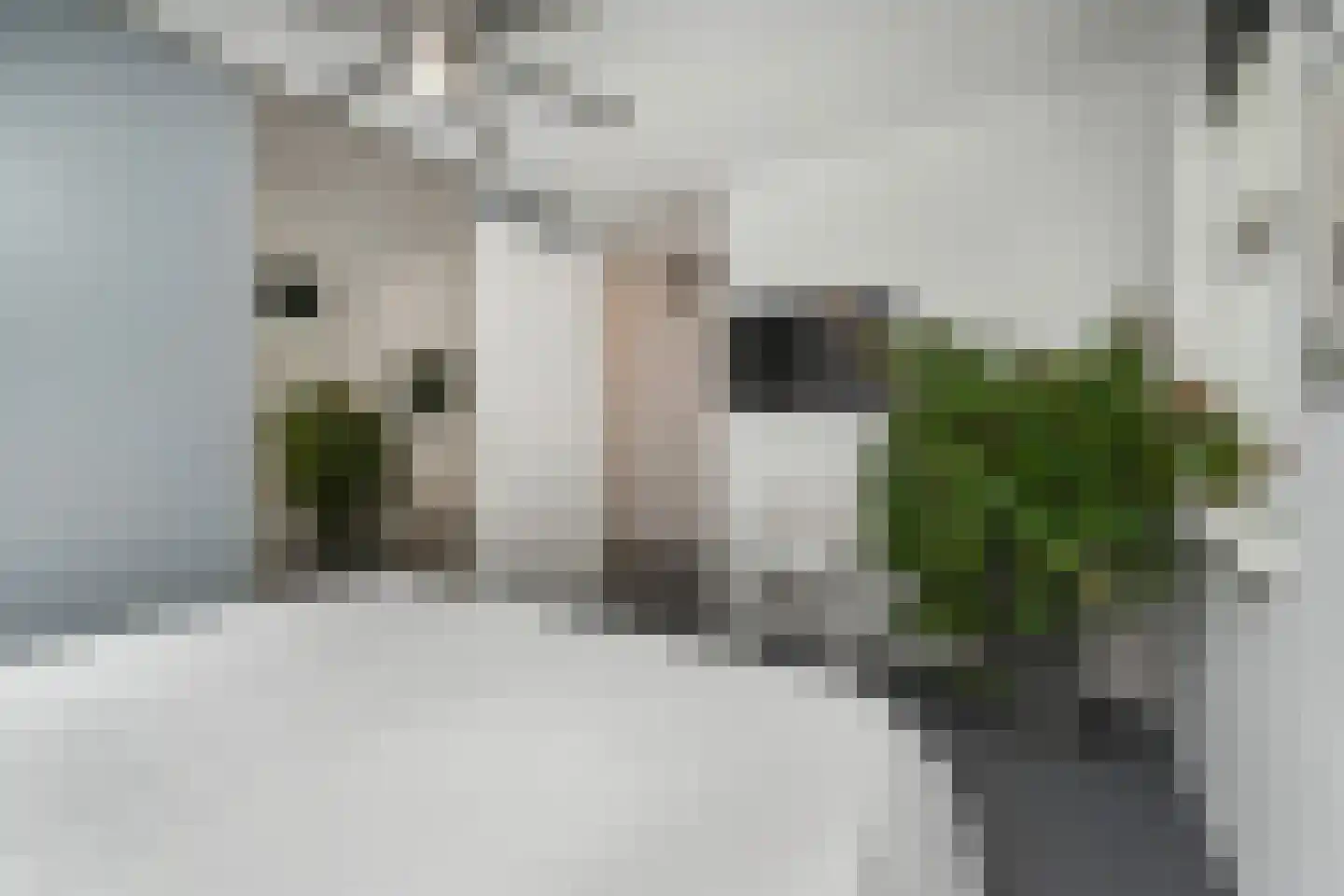 Dorpsstraat 118 D Zoetermeer thumbnail 23