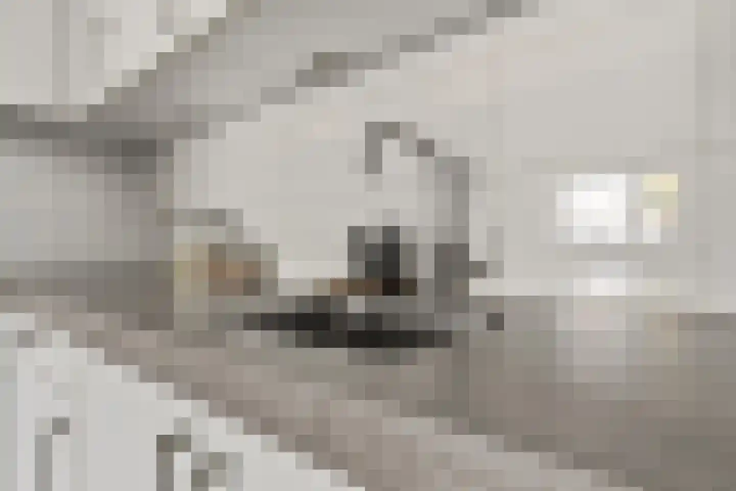 Dorpsstraat 12 D Wormer thumbnail 15