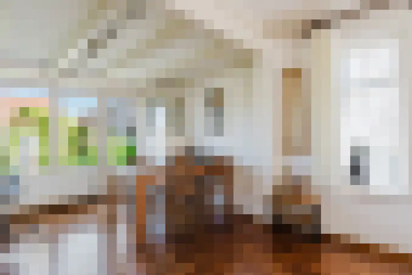 Dorpsstraat 12 Haskerdijken thumbnail 11