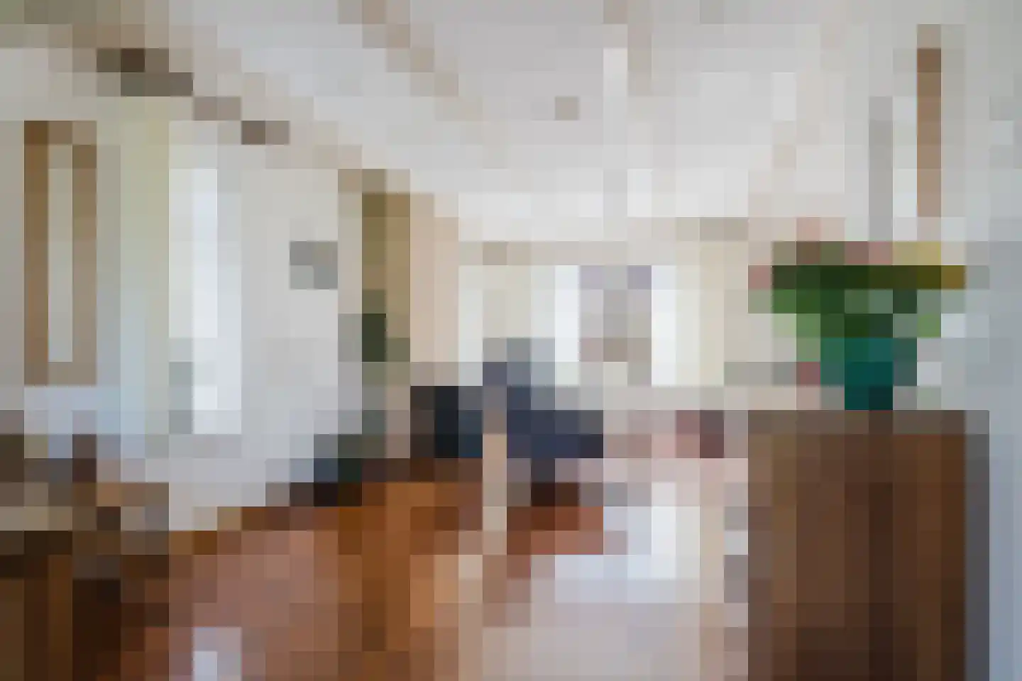 Dorpsstraat 12 Haskerdijken thumbnail 12