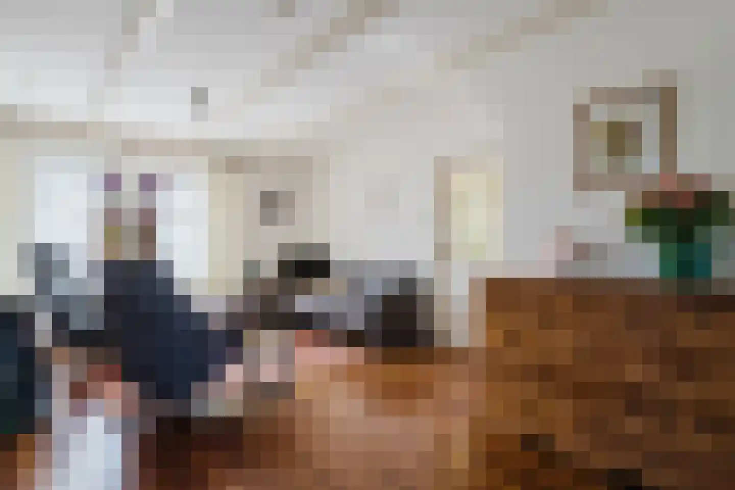 Dorpsstraat 12 Haskerdijken thumbnail 13
