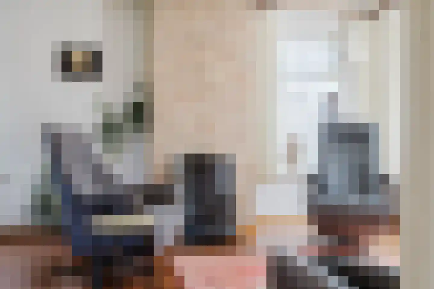 Dorpsstraat 12 Haskerdijken thumbnail 15