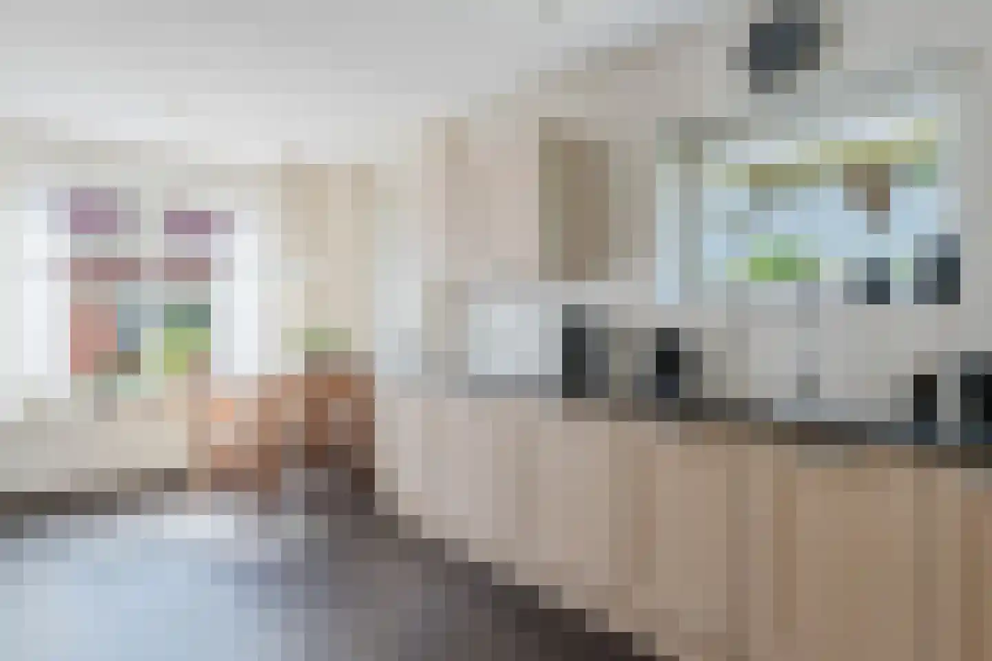 Dorpsstraat 12 Haskerdijken thumbnail 18