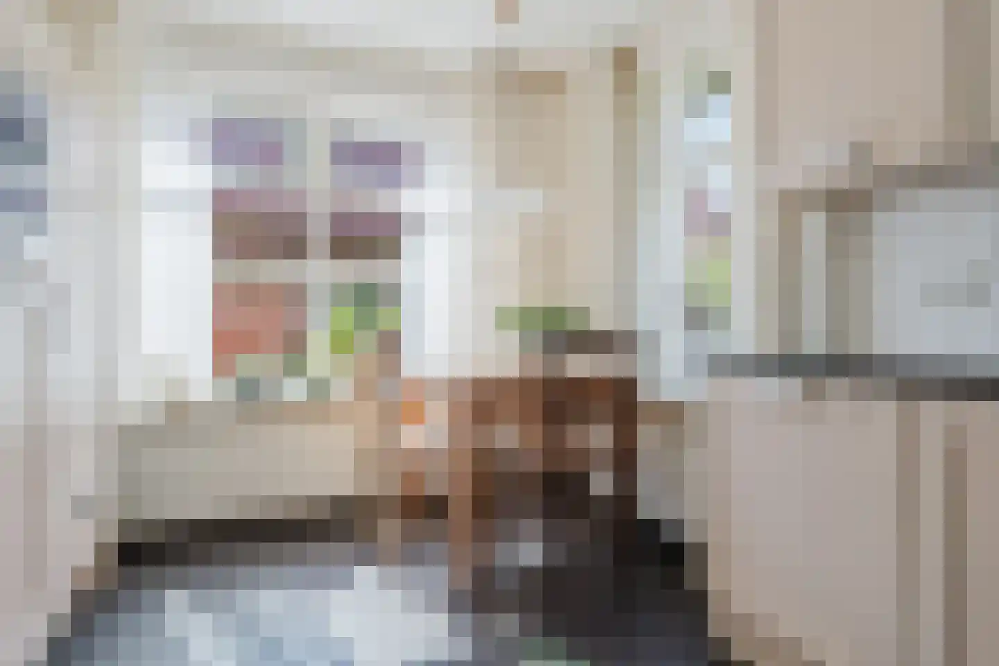 Dorpsstraat 12 Haskerdijken thumbnail 21