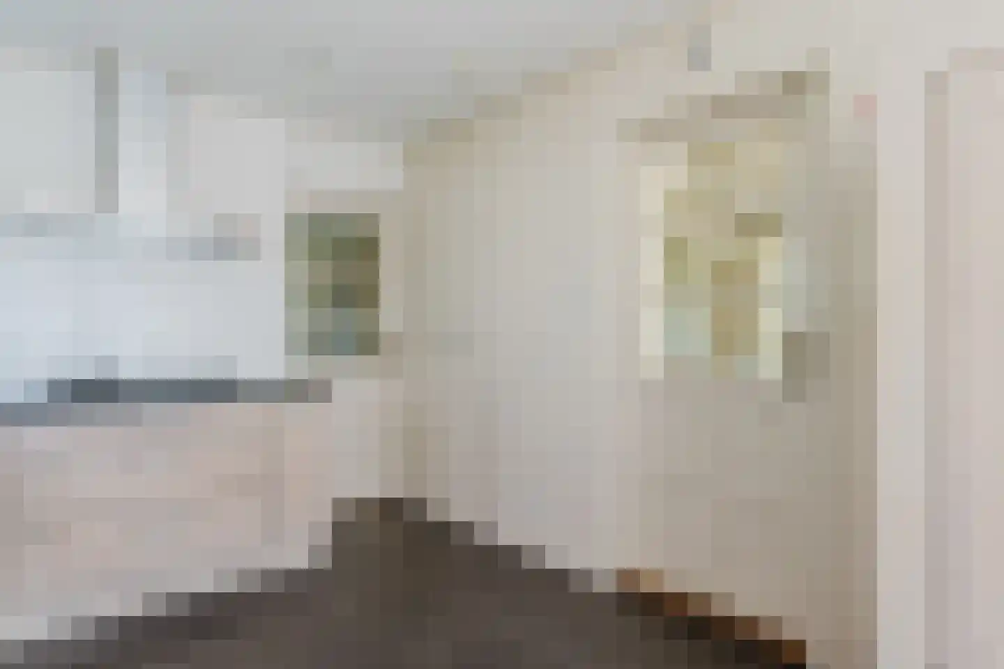 Dorpsstraat 12 Haskerdijken thumbnail 23
