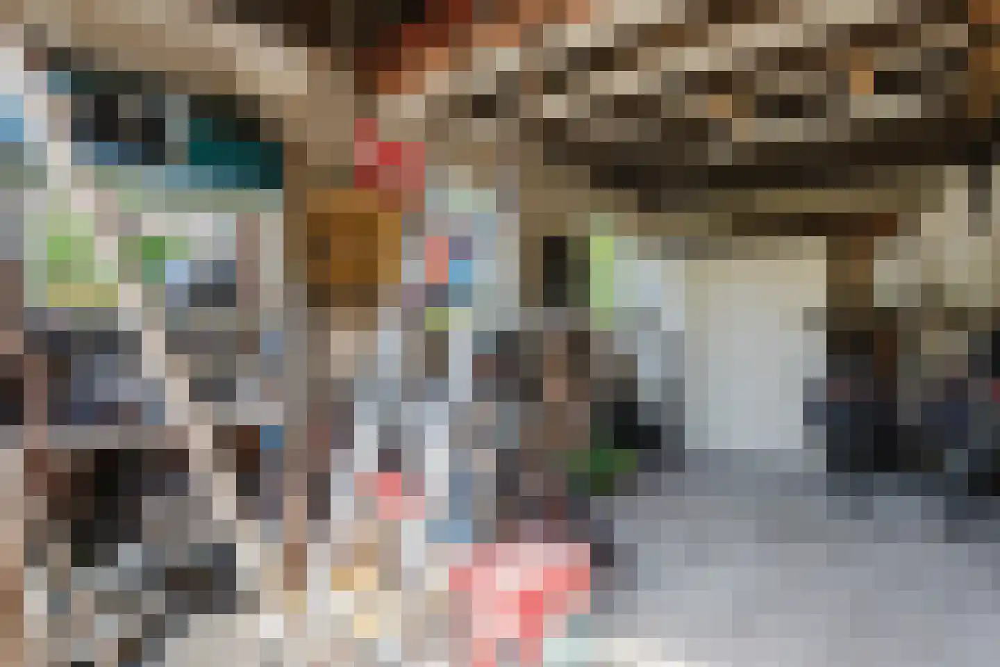 Dorpsstraat 12 Haskerdijken thumbnail 43