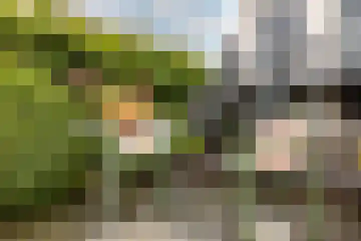 Dorpsstraat 12 Moordrecht thumbnail 28