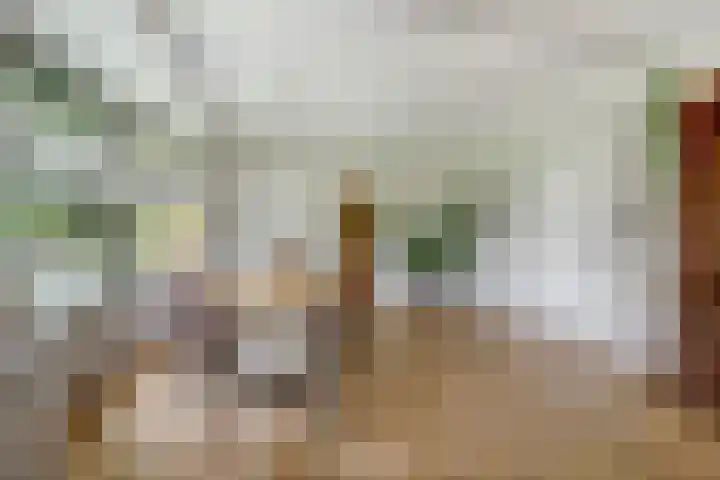 Dorpsstraat 12 Rhenoy thumbnail 16