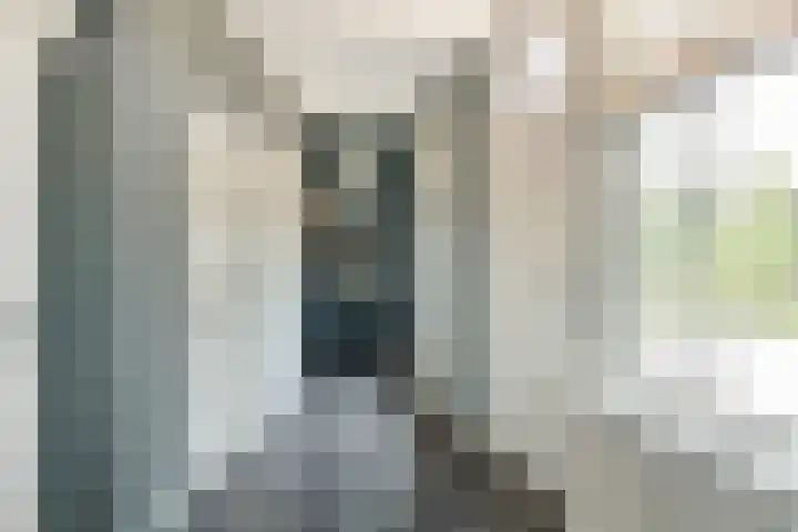 Dorpsstraat 12 Rhenoy thumbnail 21