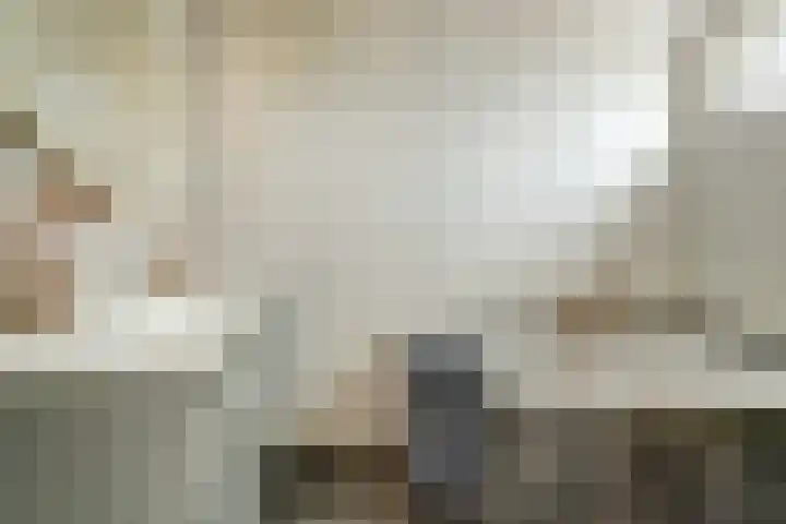 Dorpsstraat 12 Rhenoy thumbnail 22