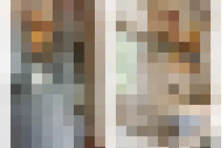 Dorpsstraat 12 Rhenoy thumbnail 26