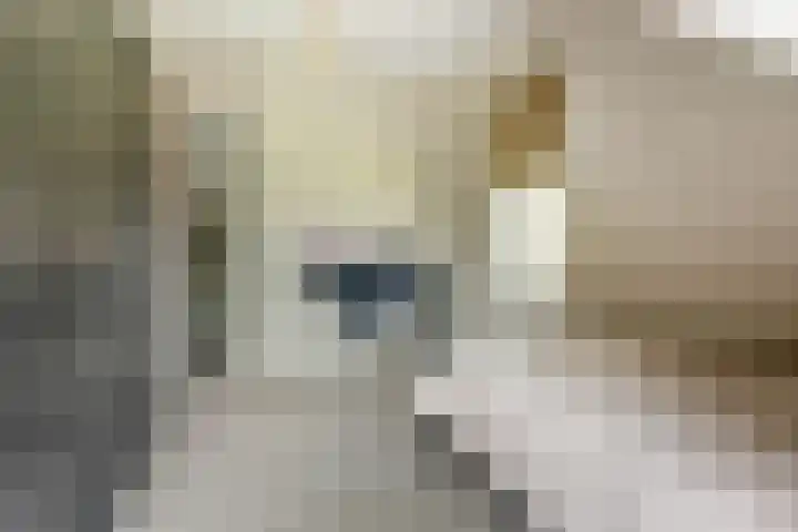 Dorpsstraat 12 Rhenoy thumbnail 31