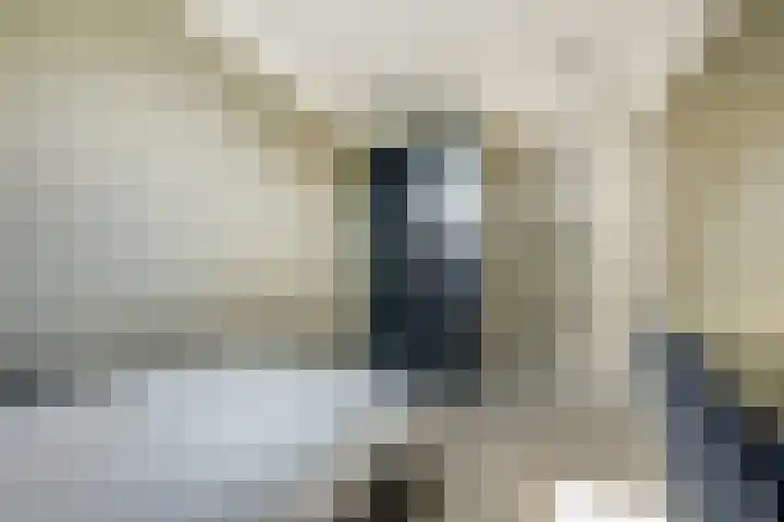 Dorpsstraat 12 Rhenoy thumbnail 36