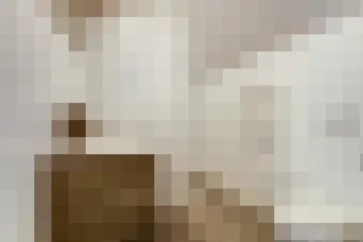 Dorpsstraat 12 Rhenoy thumbnail 42