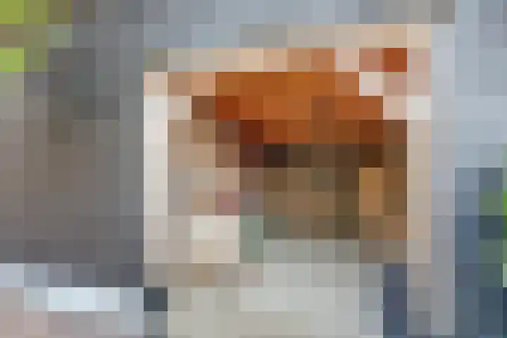 Dorpsstraat 12 Rhenoy thumbnail 51
