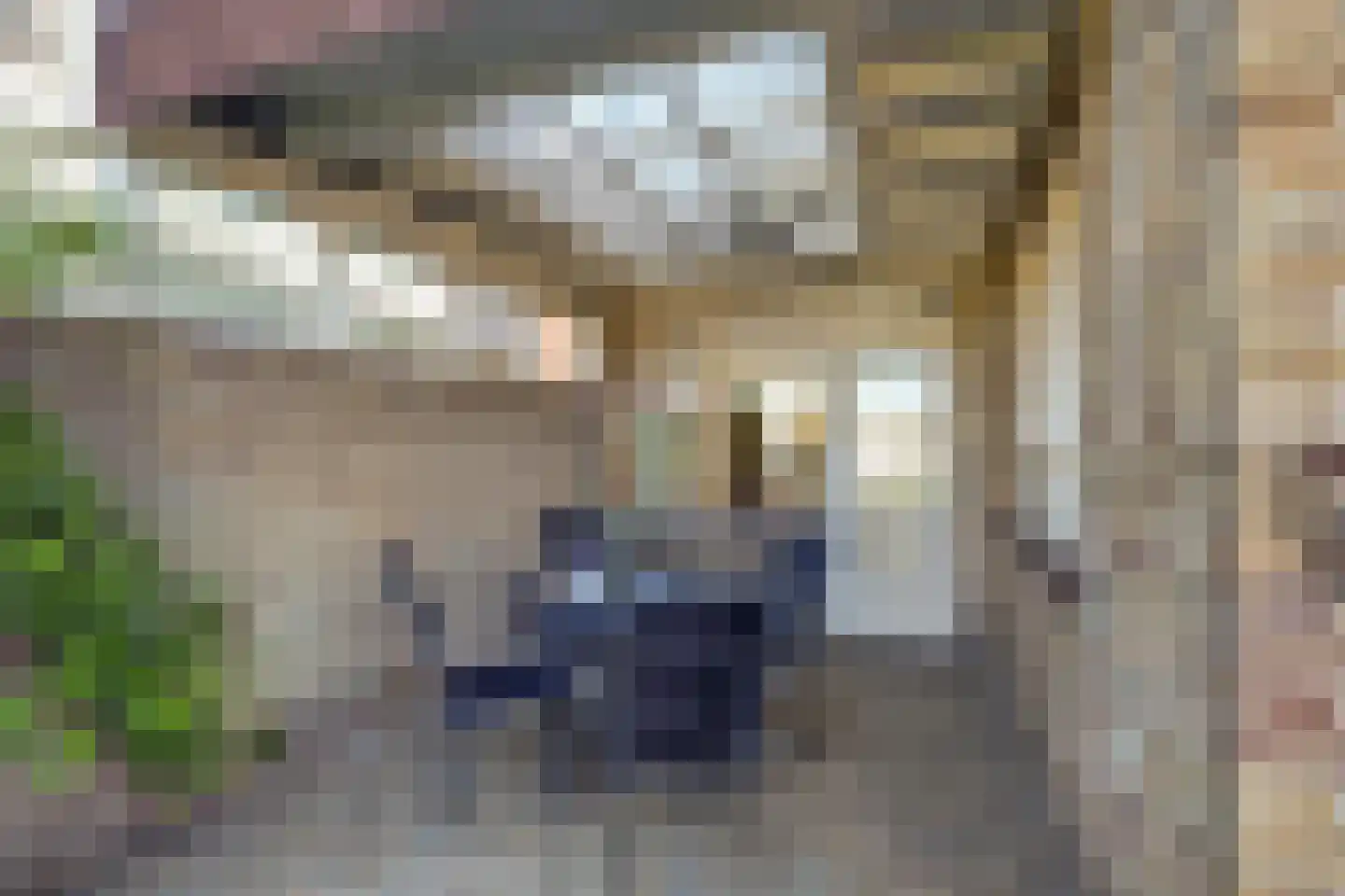 Dorpsstraat 12 Velden thumbnail 20