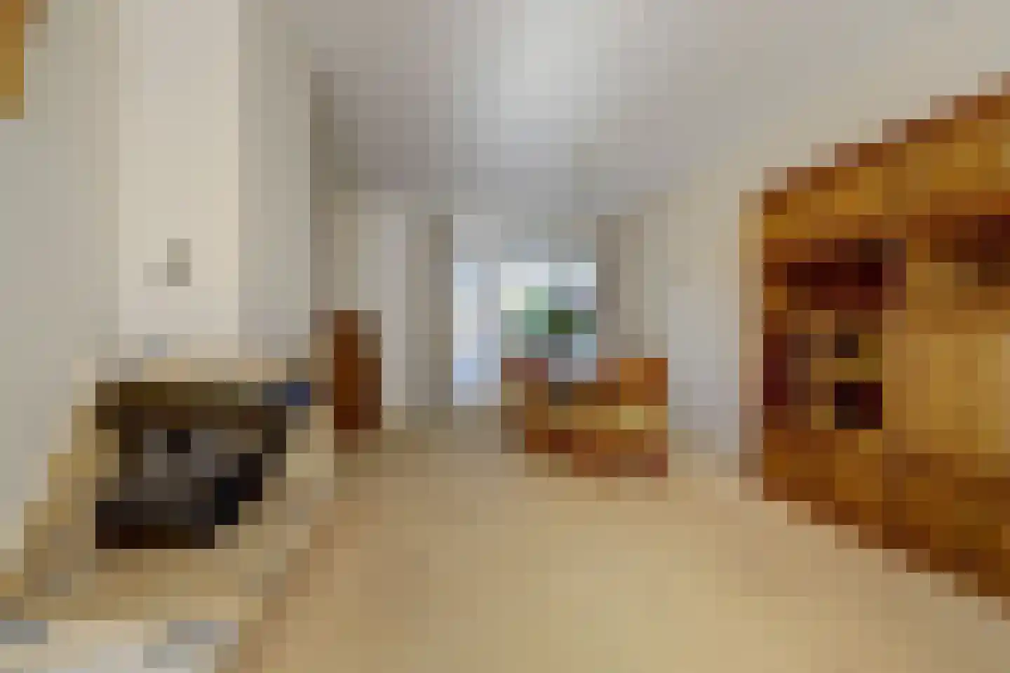 Dorpsstraat 12 Velden thumbnail 8