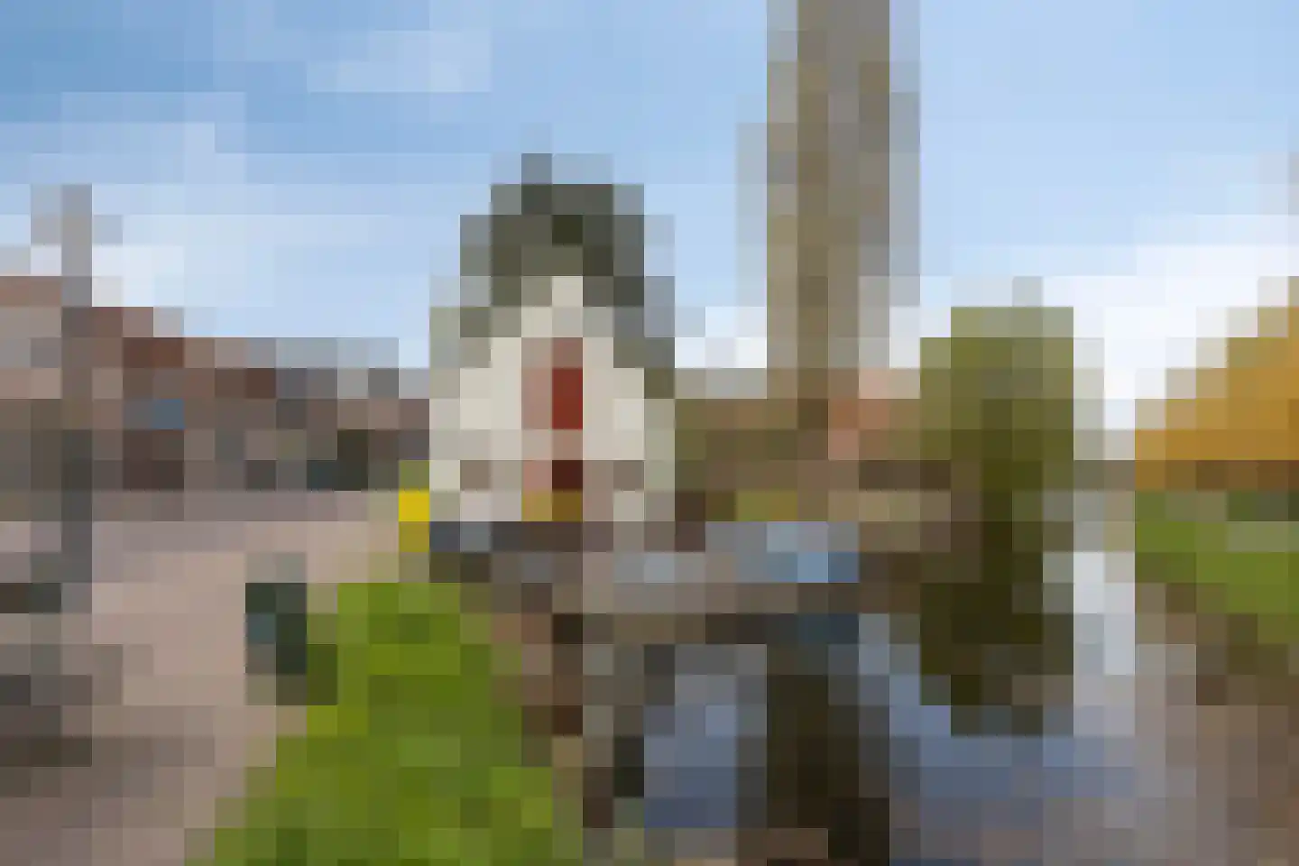 Dorpsstraat 12 Zoetermeer thumbnail 5