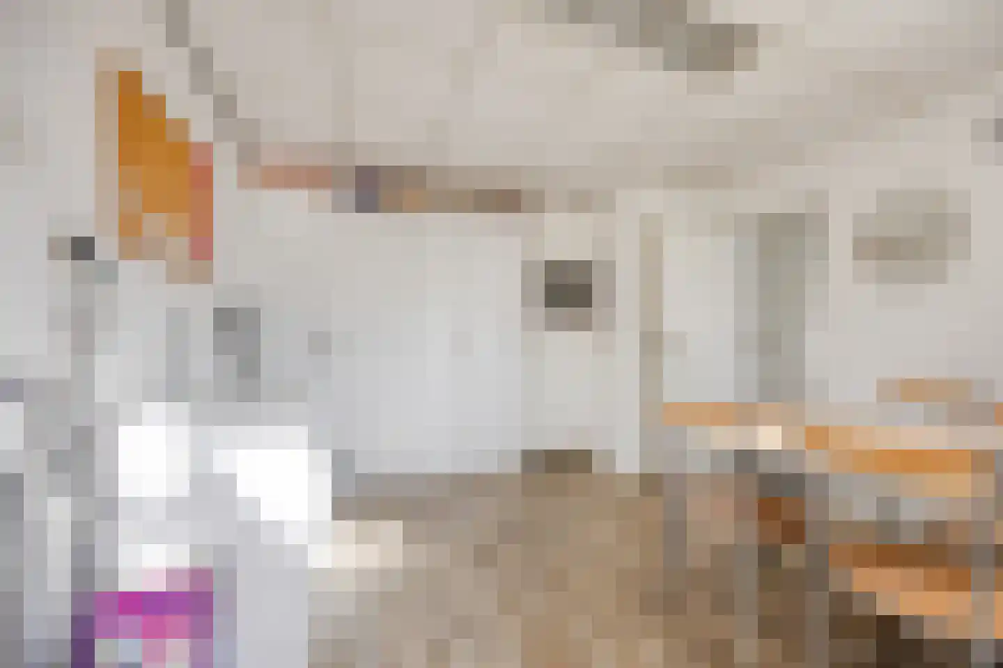 Dorpsstraat 120 Halsteren thumbnail 10