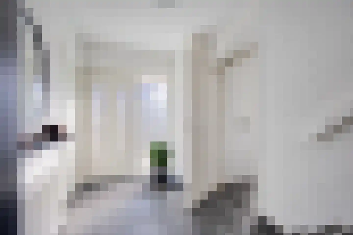 Dorpsstraat 120 Halsteren thumbnail 12
