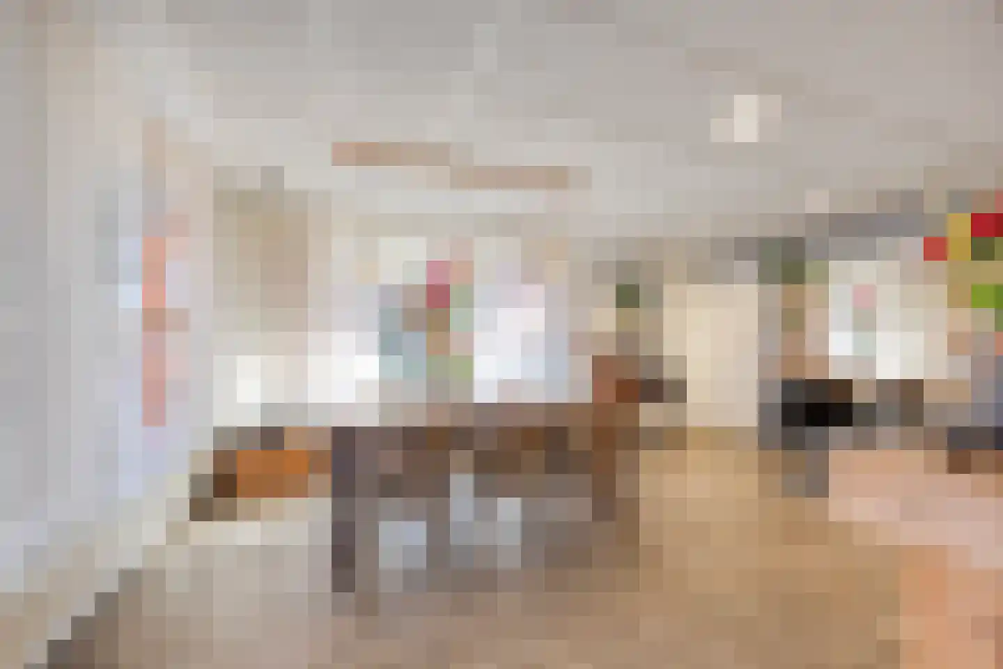 Dorpsstraat 120 Halsteren thumbnail 4
