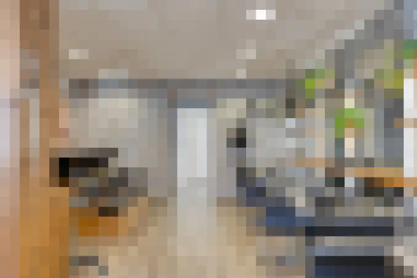 Dorpsstraat 120 Halsteren thumbnail 6