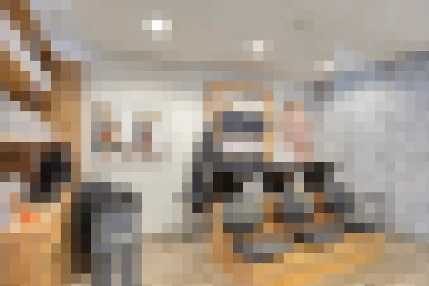 Dorpsstraat 120 Halsteren thumbnail 7