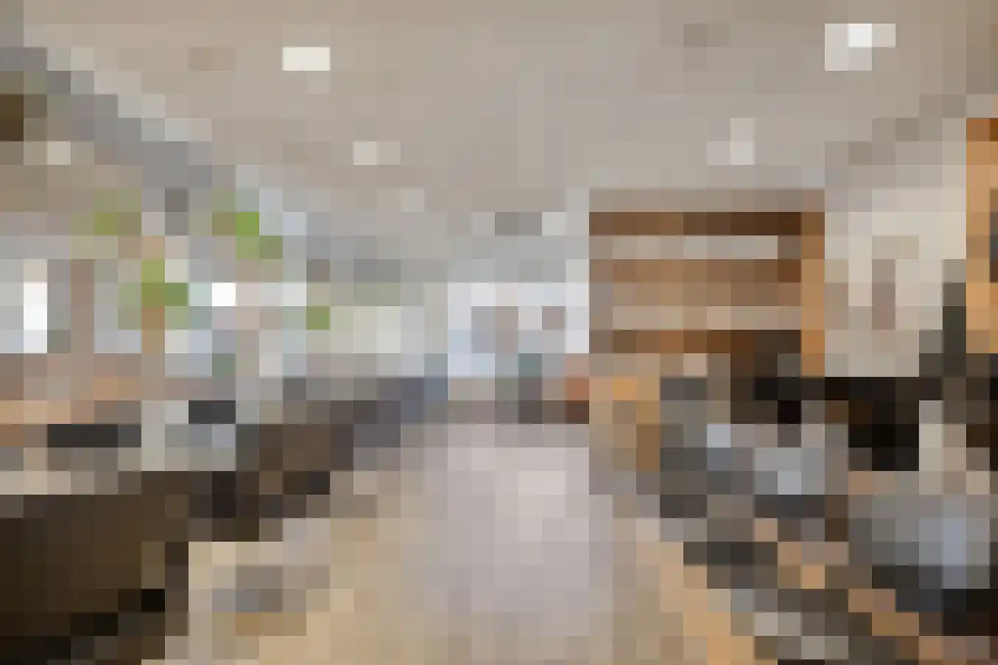 Dorpsstraat 120 Halsteren thumbnail 8