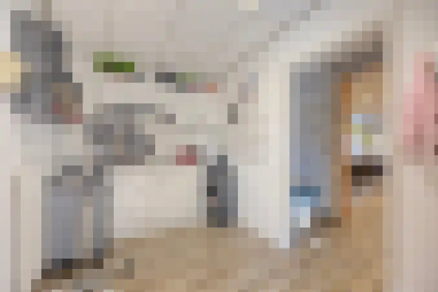 Dorpsstraat 120 Halsteren thumbnail 9