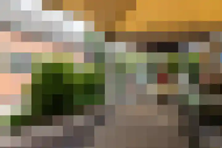 Dorpsstraat 120 Zoetermeer thumbnail 26