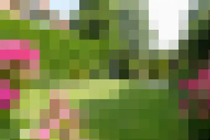 Dorpsstraat 120 Zoetermeer thumbnail 30