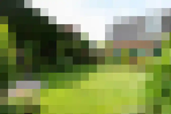 Dorpsstraat 120 Zoetermeer thumbnail 31