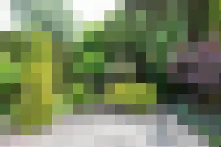 Dorpsstraat 120 Zoetermeer thumbnail 32